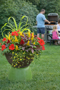 Sun May 24  Living Firepit 260524131